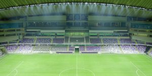 Hazza bin Zayed Stadium