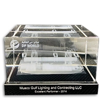 2014 DP World Excellent Performer Award