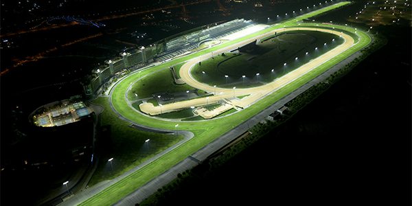 Meydan Racecourse project showcase